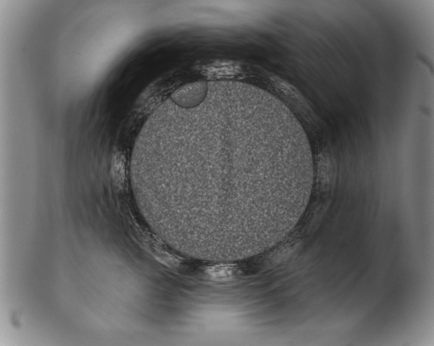 X0000102350761200808221653