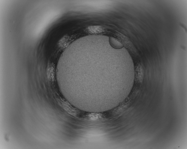 X0000102350762200808221653