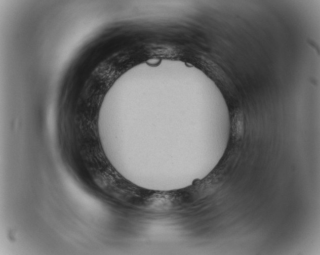 X0000102350764200808221653