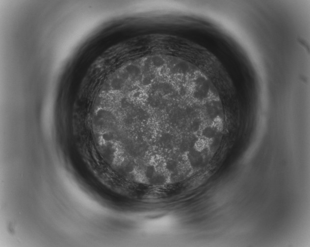 X0000102350765200808221653