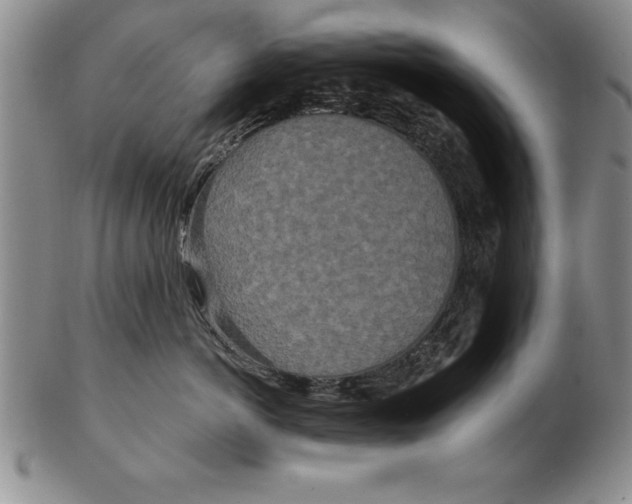 X0000102350766200808221653