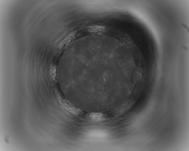 X0000102350767200808221653