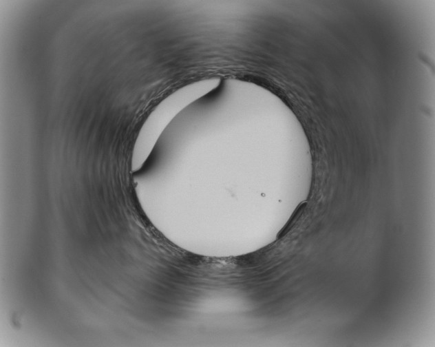 X0000102350768200808221653