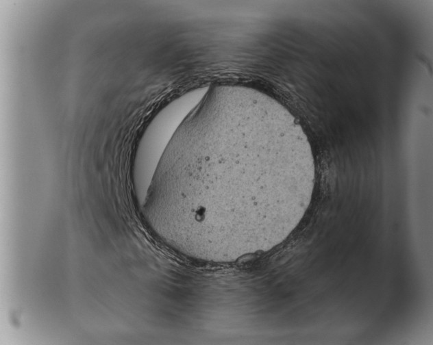 X0000102350769200808221653