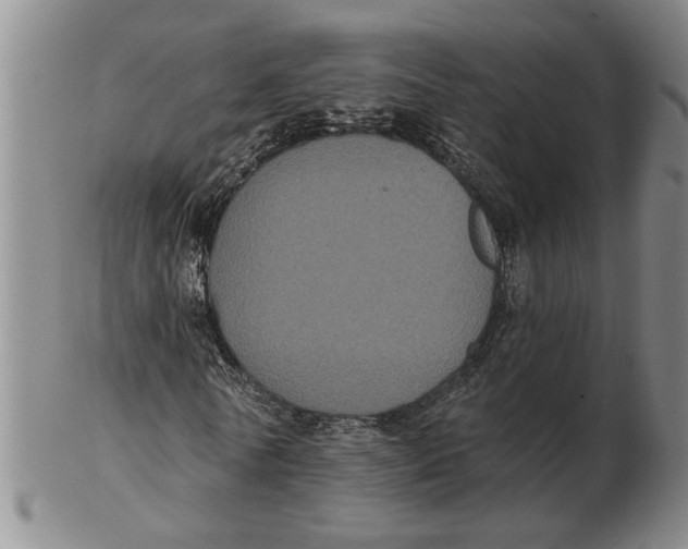 X0000102350770200808221653