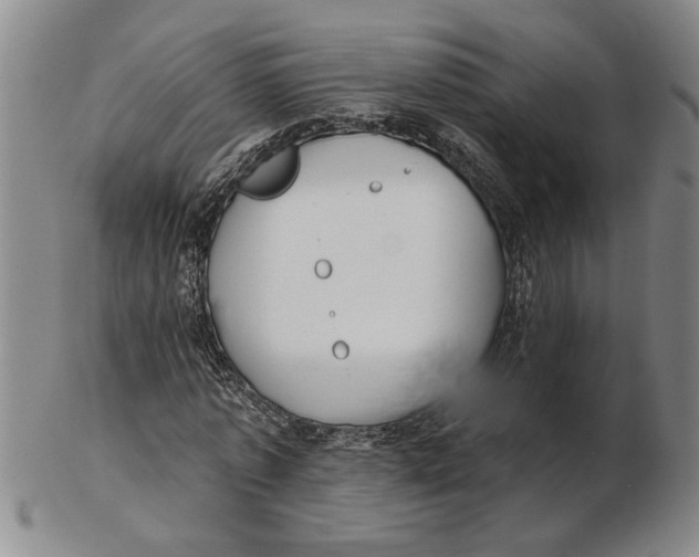 X0000102350773200808221653