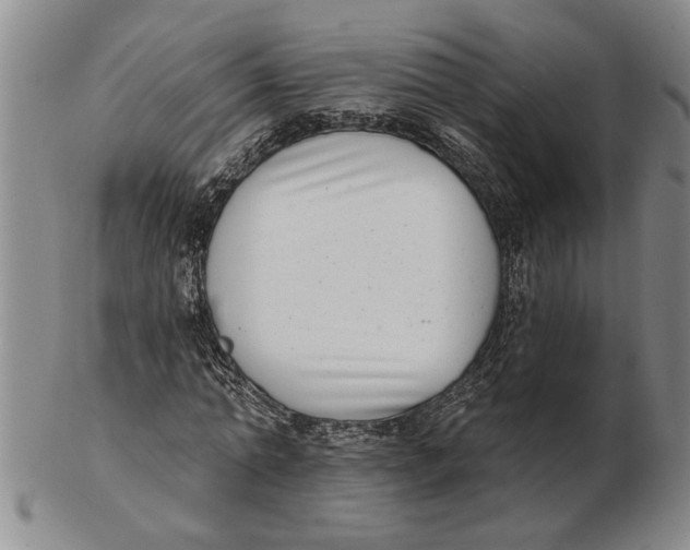 X0000102350774200808221653