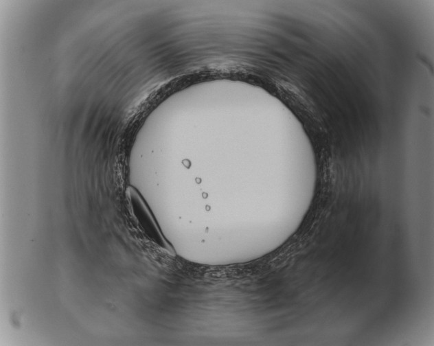 X0000102350776200808221653