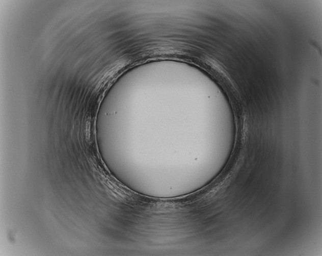 X0000102350777200808221653