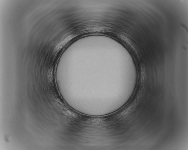 X0000102350778200808221653