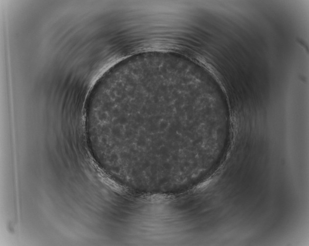 X0000102350779200808221653