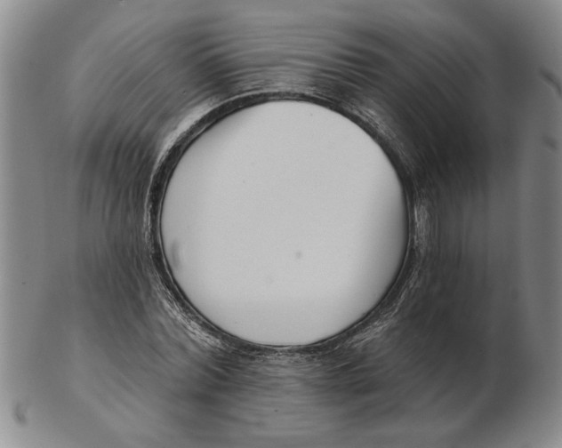 X0000102350780200808221653