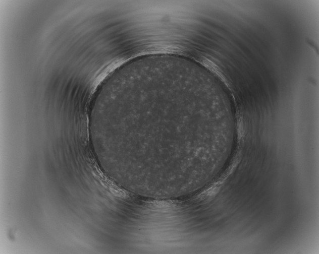 X0000102350781200808221653