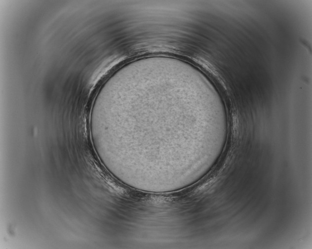 X0000102350782200808221653