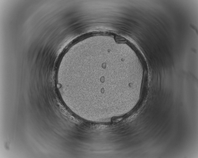 X0000102350783200808221653