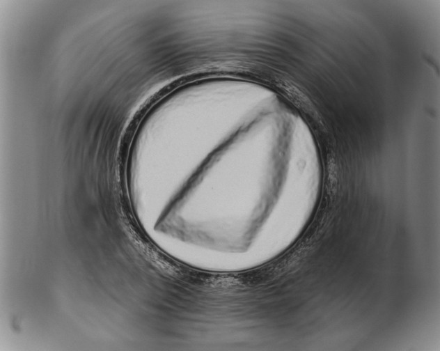 X0000102350784200808221653