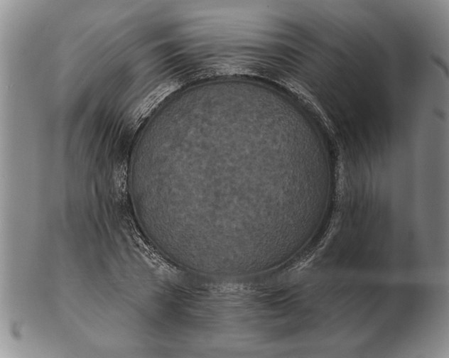 X0000102350785200808221653