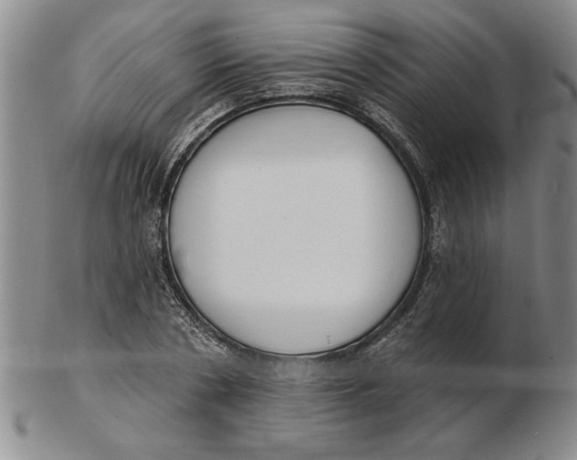 X0000102350786200808221653