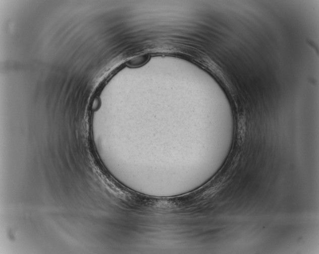 X0000102350787200808221653