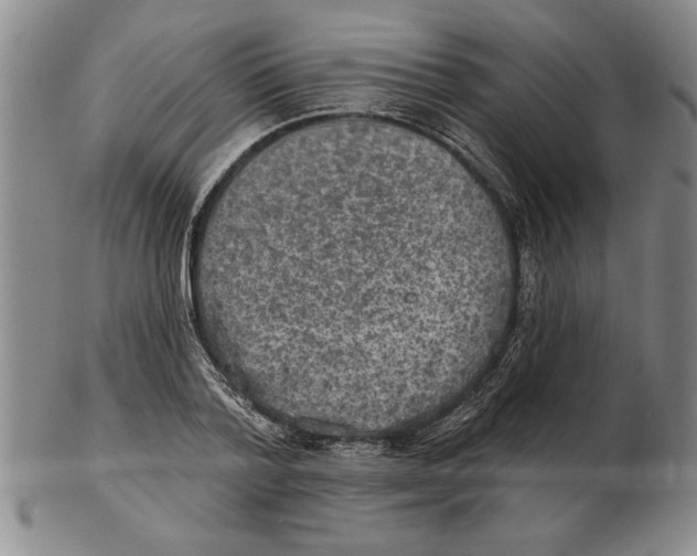 X0000102350788200808221653