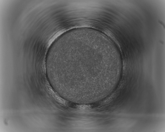 X0000102350789200808221653