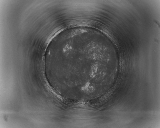 X0000102350790200808221653