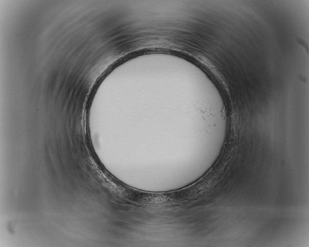 X0000102350791200808221653