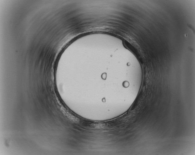 X0000102350792200808221652