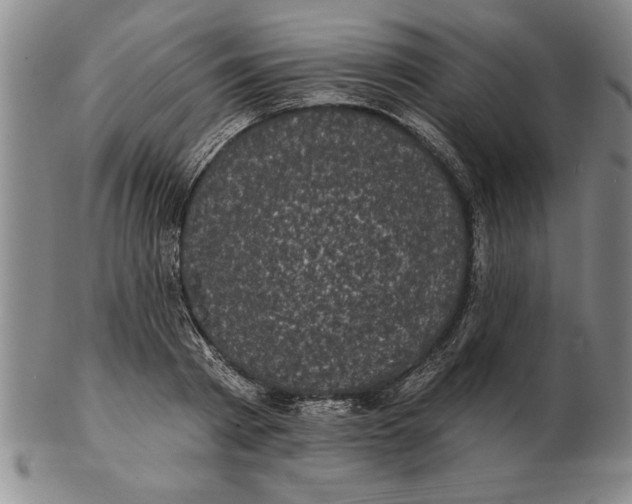 X0000102350793200808221652