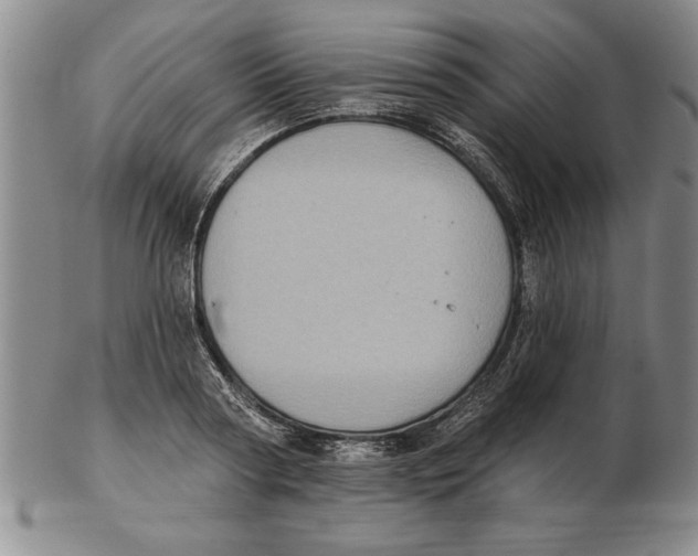 X0000102350794200808221652