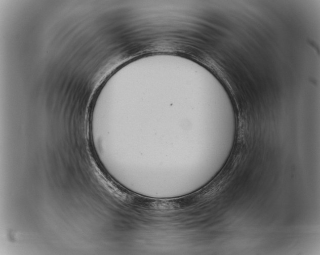 X0000102350795200808221652