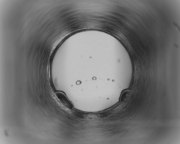 X0000102350796200808221652