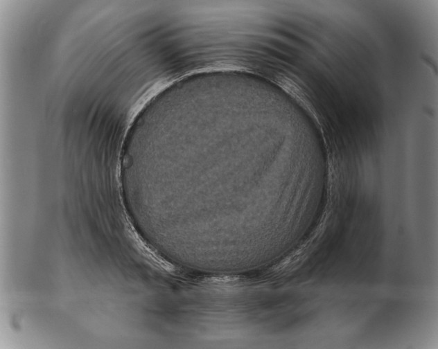 X0000102350797200808221652