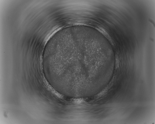 X0000102350798200808221652