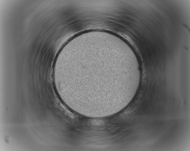 X0000102350799200808221652