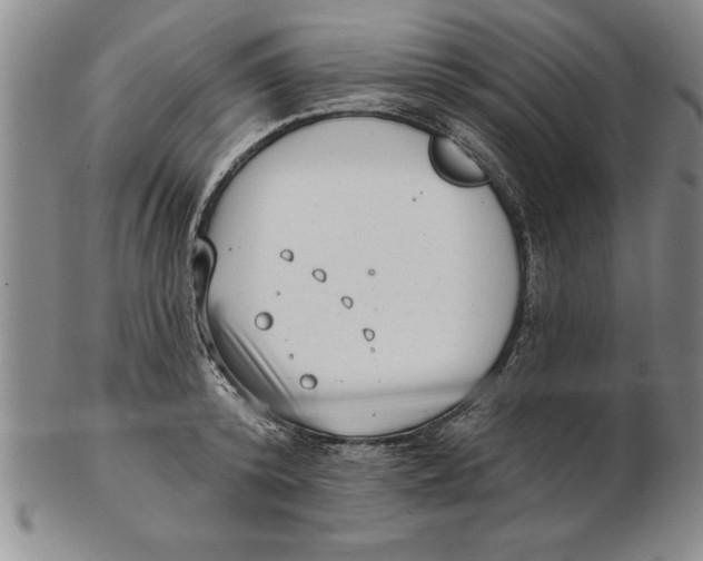 X0000102350800200808221652