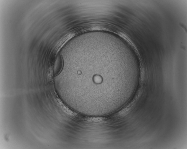 X0000102350801200808221652