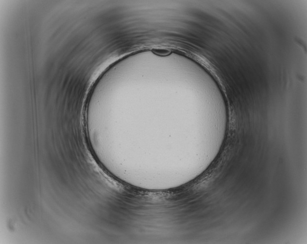 X0000102350803200808221652