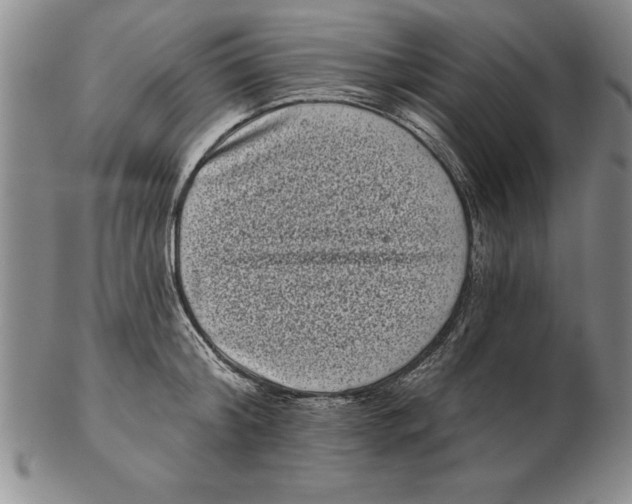 X0000102350804200808221652