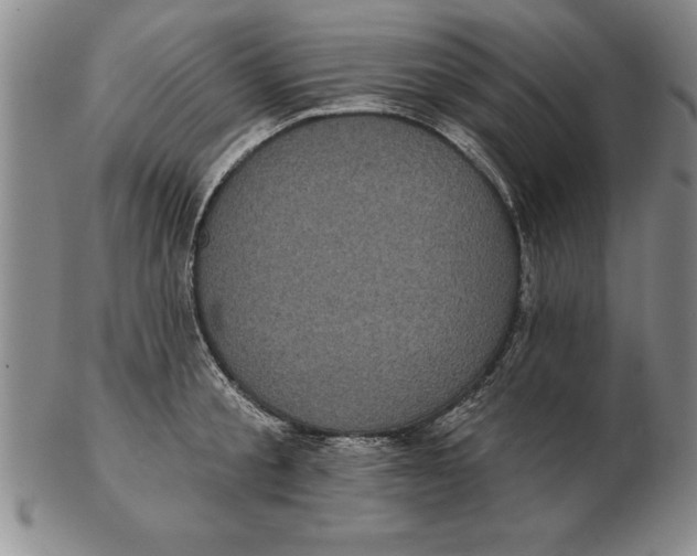 X0000102350805200808221652