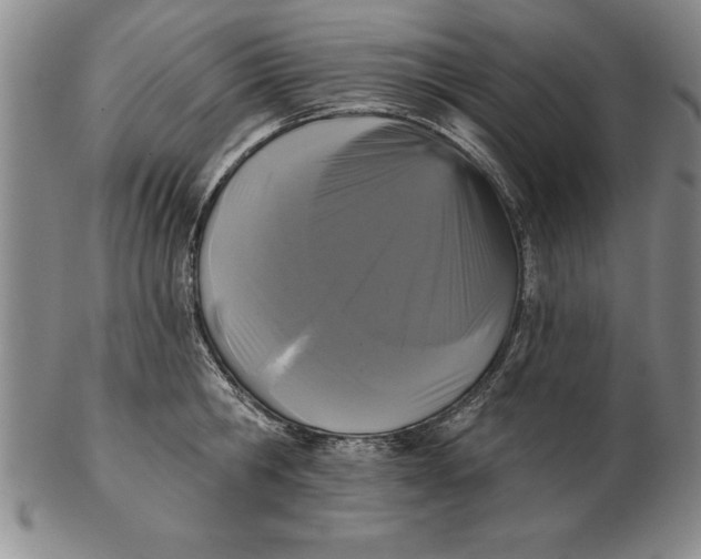 X0000102350806200808221652