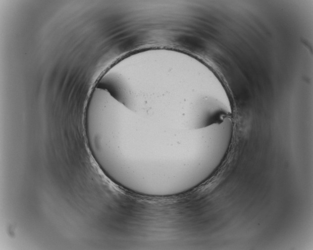 X0000102350807200808221652