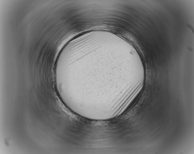 X0000102350808200808221652