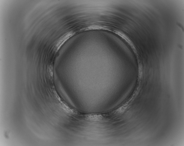 X0000102350809200808221652