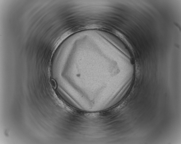 X0000102350810200808221652