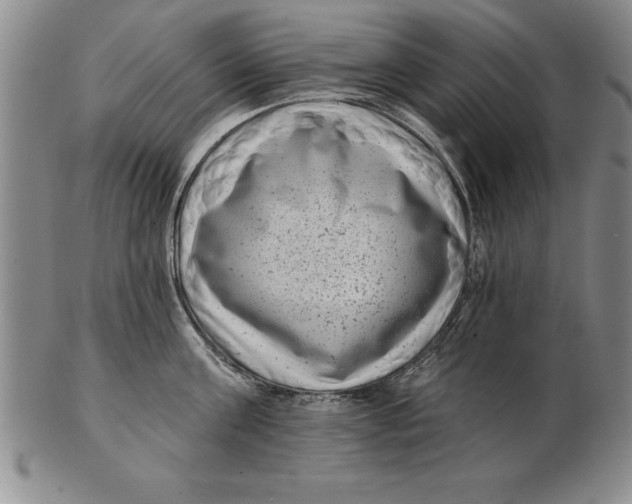 X0000102350811200808221652