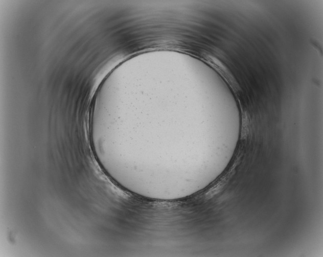 X0000102350812200808221652