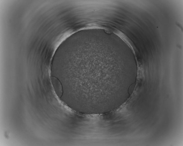 X0000102350813200808221652