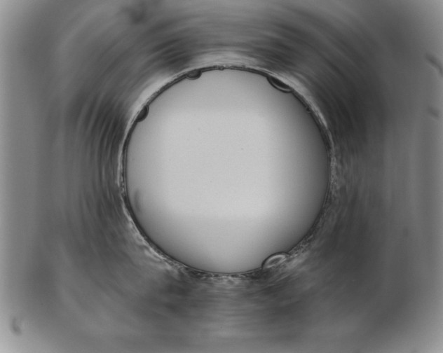 X0000102350815200808221652