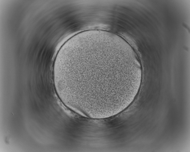 X0000102350816200808221652